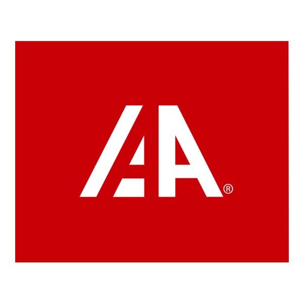 AA - Insurance Auto Auctions